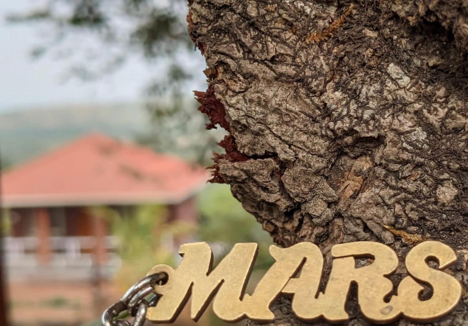 Mars Jungle Adventure Stud Farm With Private Jacuzzi Villa Narsinge Exteriör bild