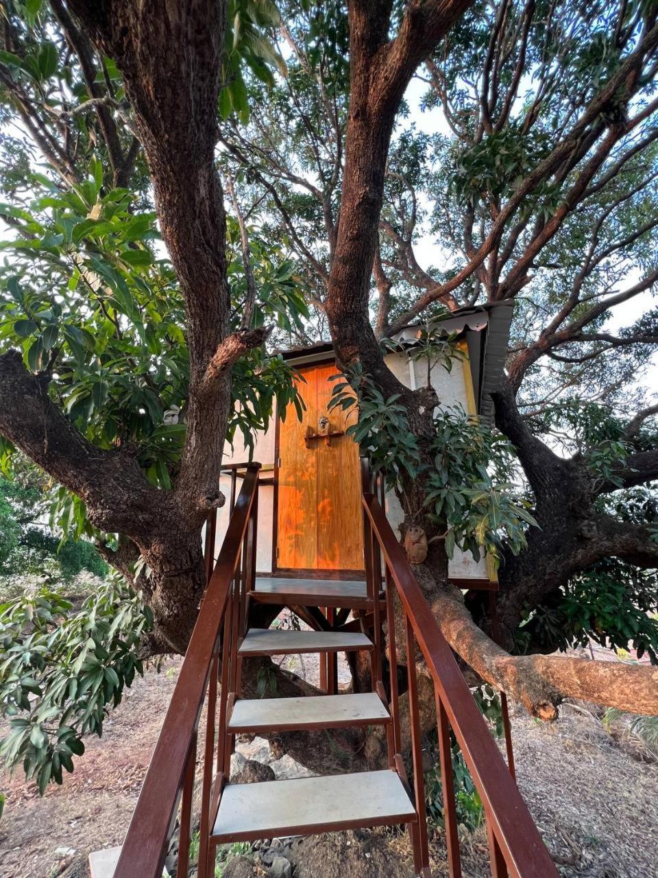 Mars Jungle Adventure Stud Farm With Private Jacuzzi Villa Narsinge Rum bild