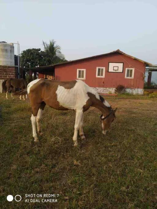 Mars Jungle Adventure Stud Farm With Private Jacuzzi Villa Narsinge Exteriör bild